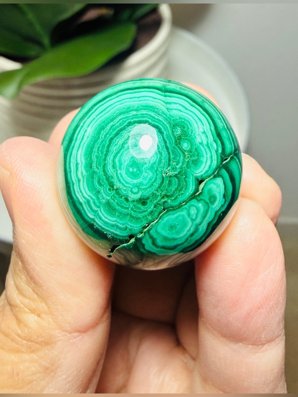 Malachite Sphere - Vibrant Green Bullseye Pattern Crystal - Natural Polished